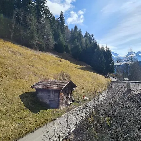 Traditional In - Floor Apartament Wengen