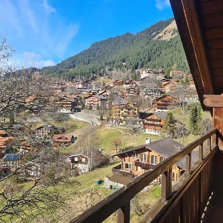 Traditional In - Floor Apartament Wengen