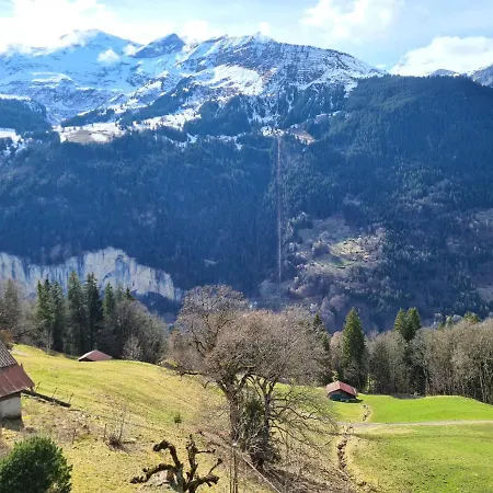 Apartament Traditional In - Floor