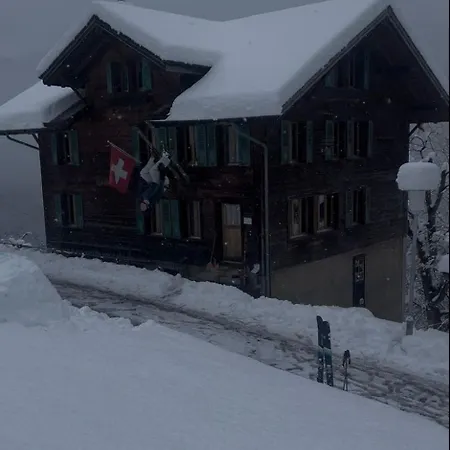 Traditional In - Floor