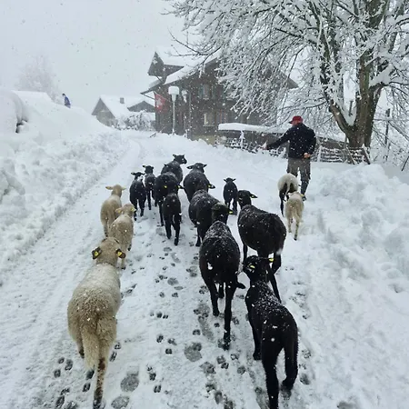 公寓 Traditional In - Floor