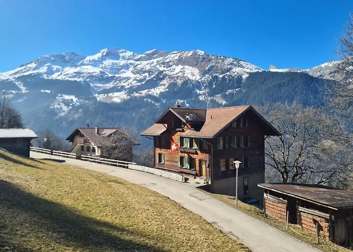 Traditional In - Floor Wengen