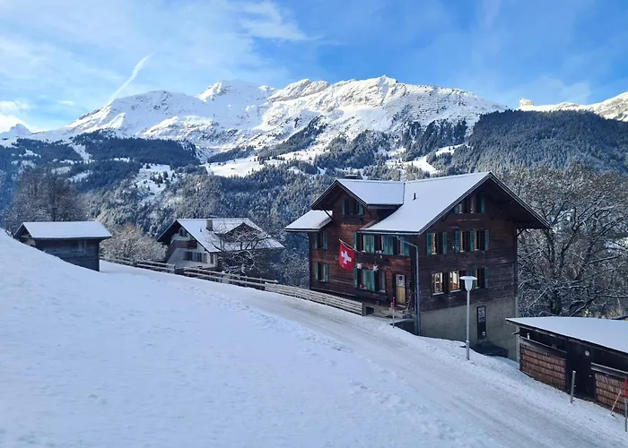 Traditional In - Floor Wengen