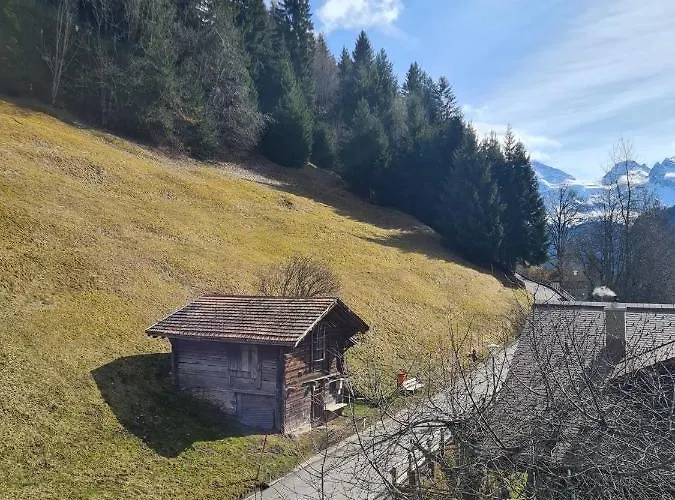 Traditional In - Floor Daire Wengen