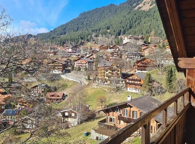 Traditional In - Floor Appartement Wengen